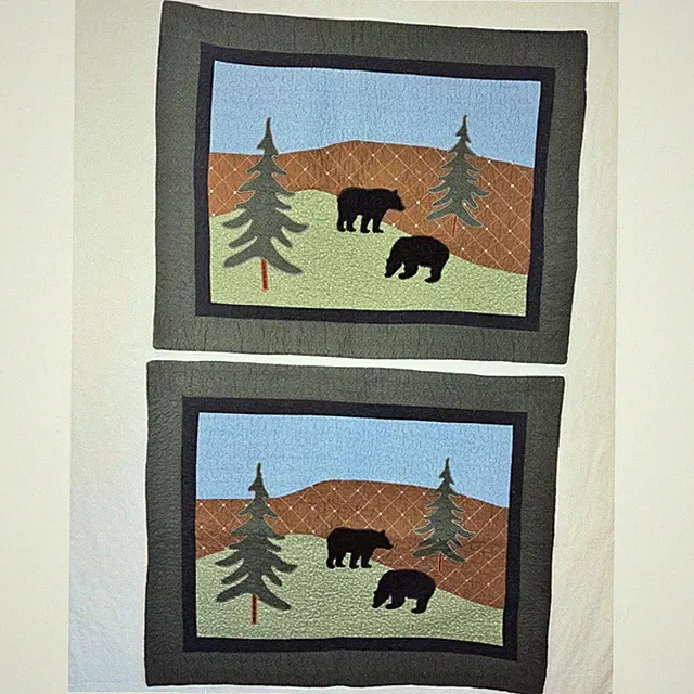 Donna Sharp Black Bear Quilted Pillow Shams Set of 2 Green Rustic Lodge 20x26