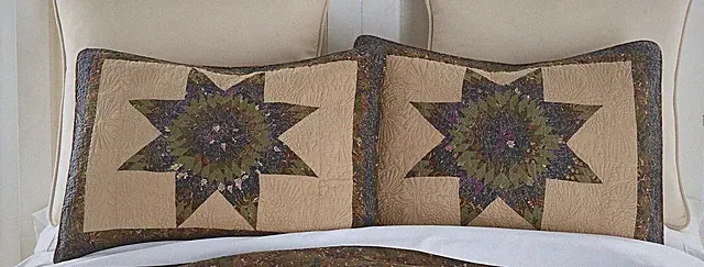 Donna Sharp Forest Star Quilted Cotton Pieced Rustic Pinecones Lodge Shams (2)