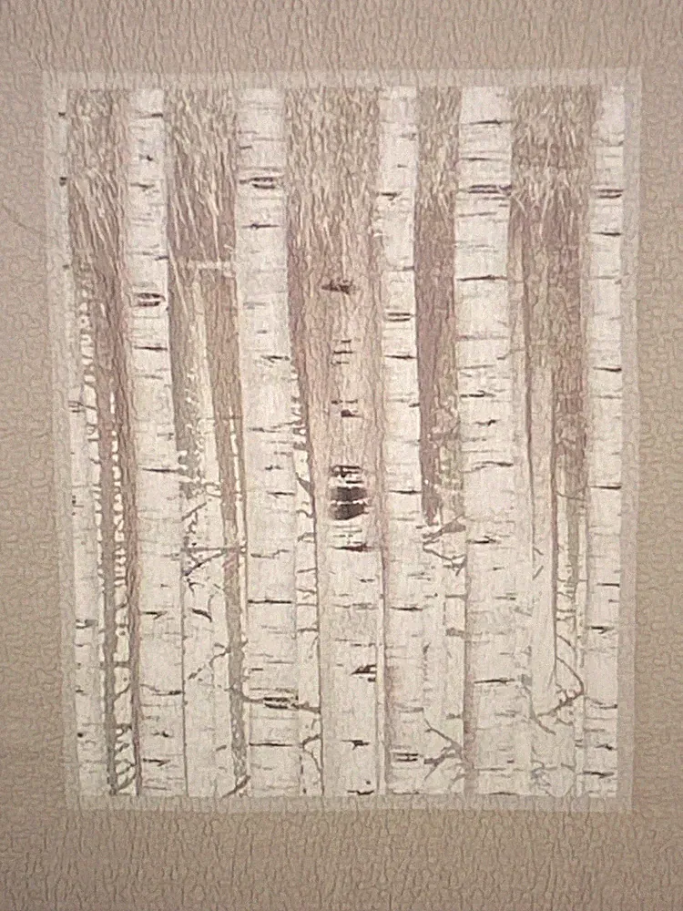 Donna Sharp's Birch Forest Throw 100% cotton Farmhouse Cabin 50 x 60